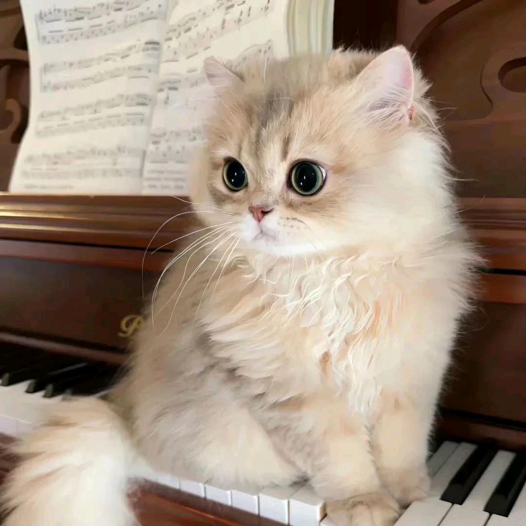 山清水秀的地方