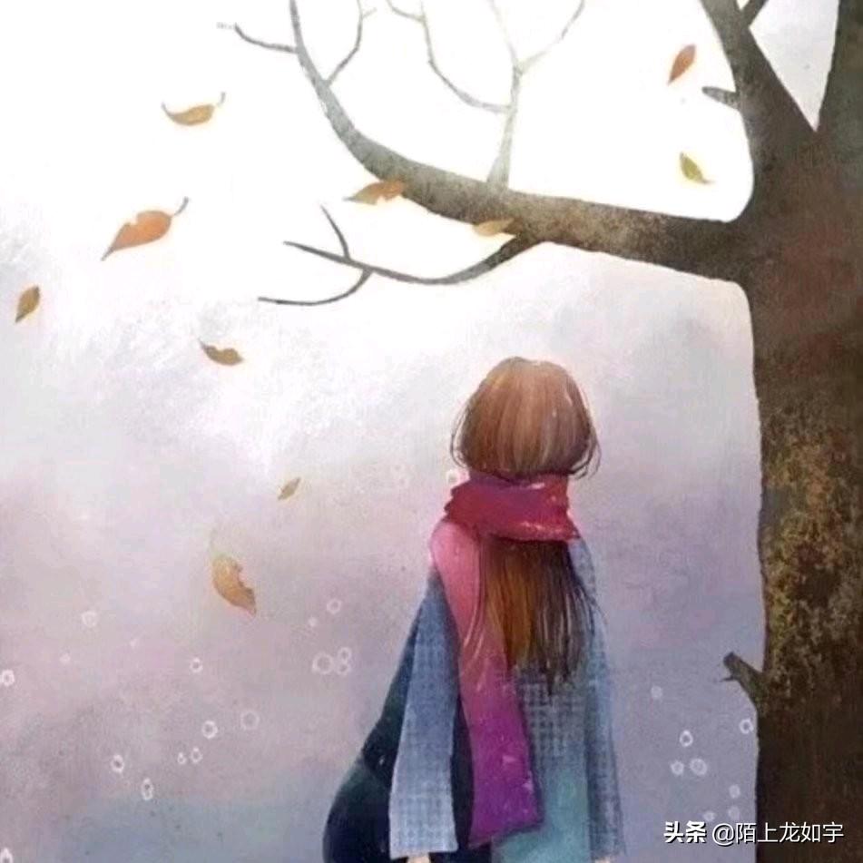 菲一般