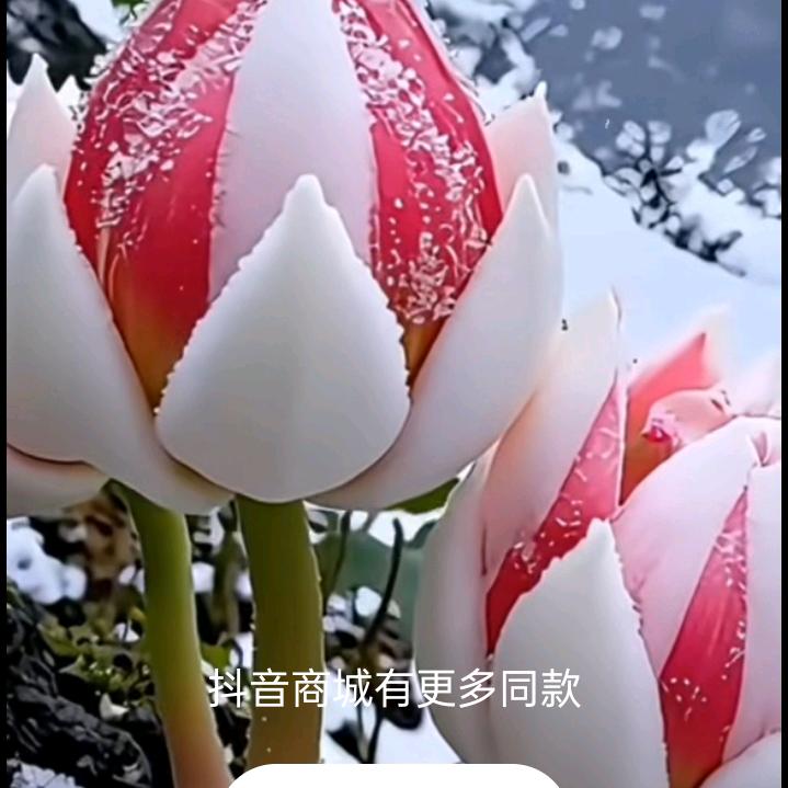 璐遥鞋业。