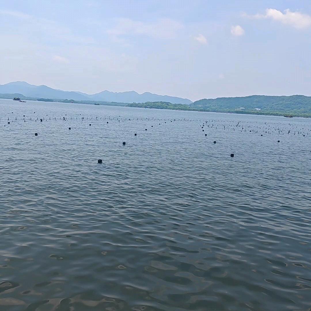 (๑• . •๑)初二