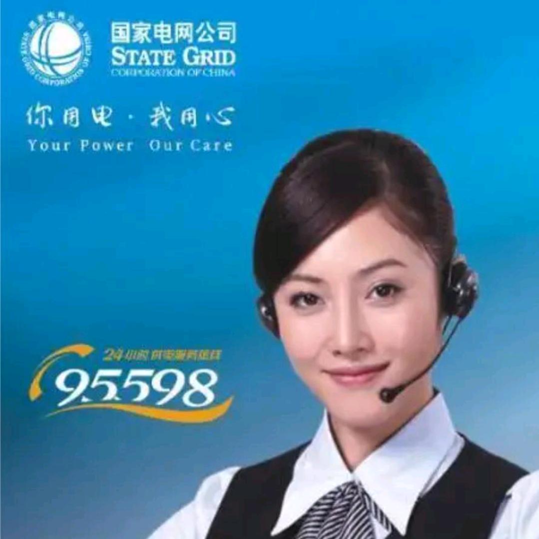 国家电网  A   相