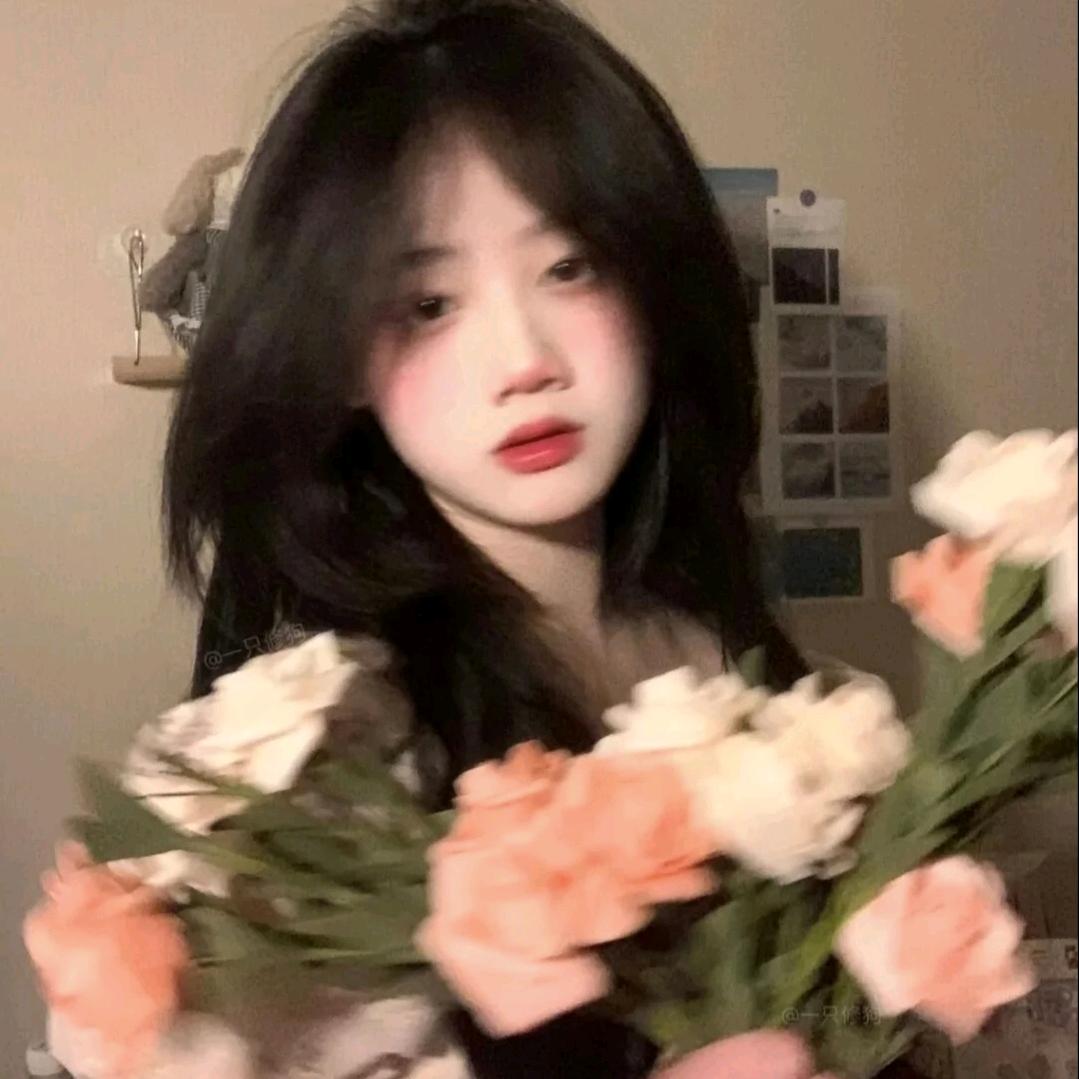 月亮🌙