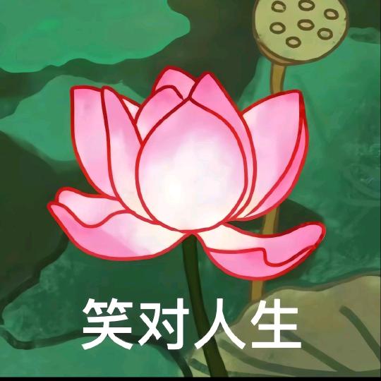 一缕阳光168