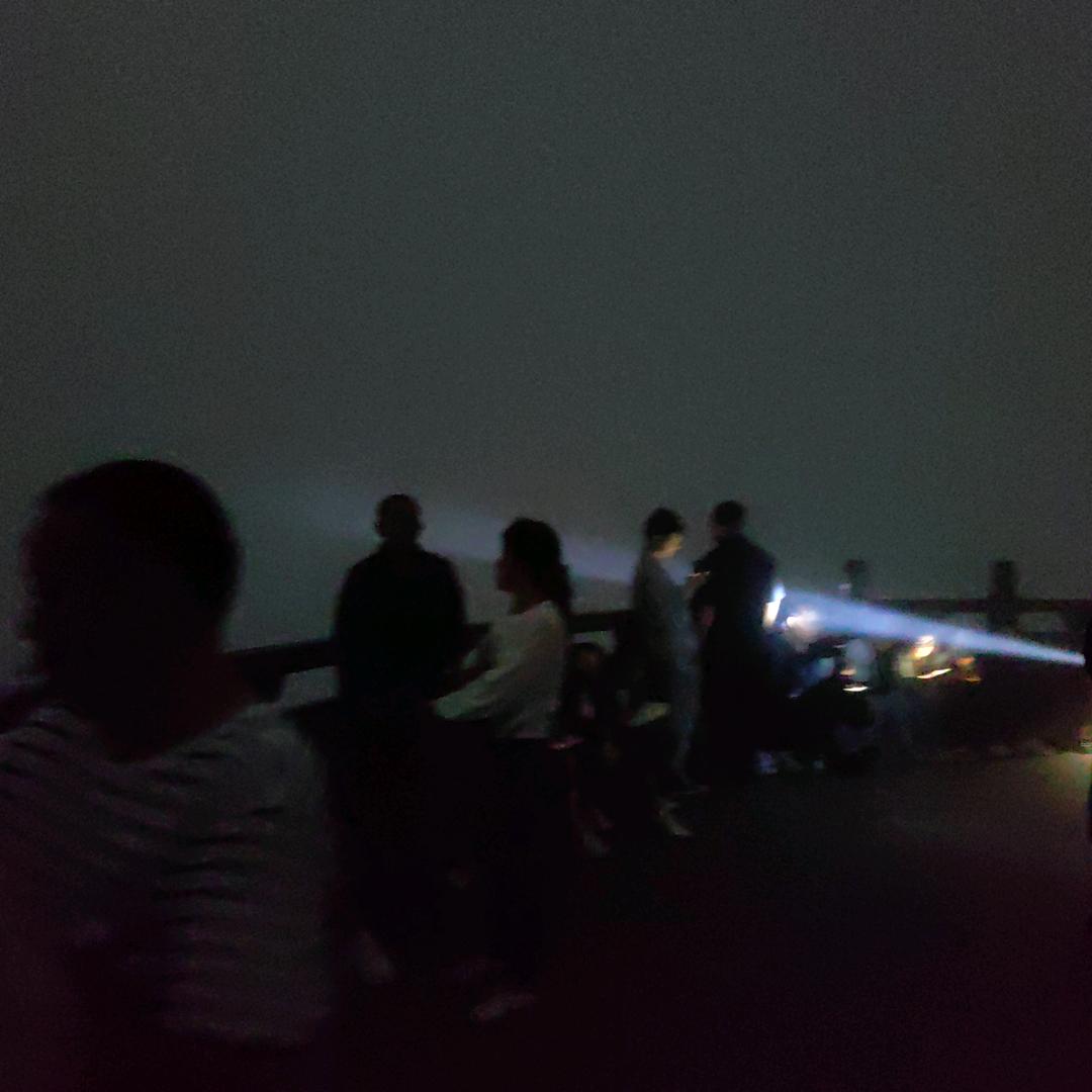 木头人