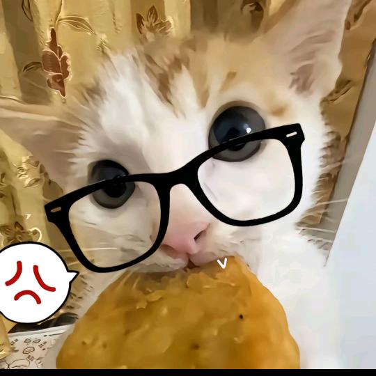雾雾雾