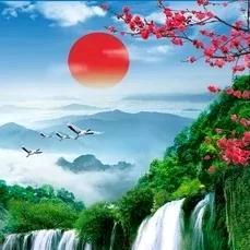 老奶