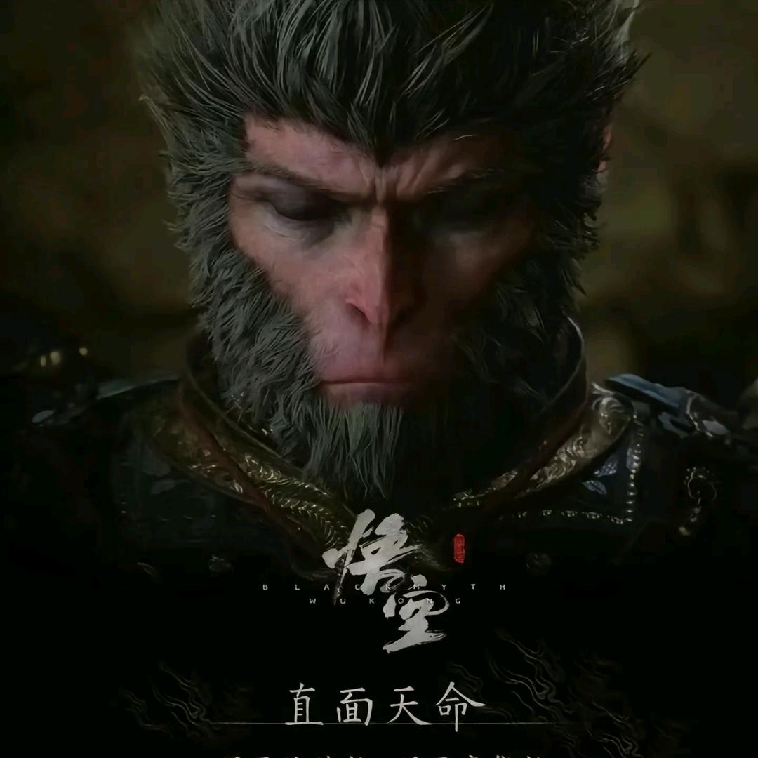 晨曦启永夜