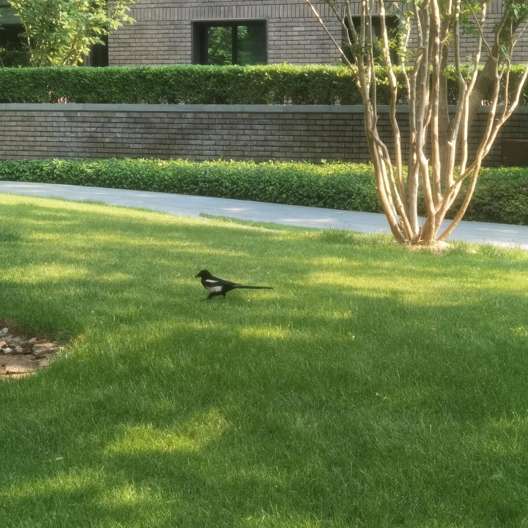 卖岩板瓷砖的平姐