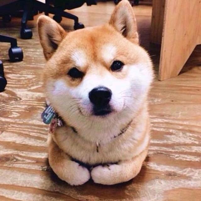 S喷子（跑刀仔）