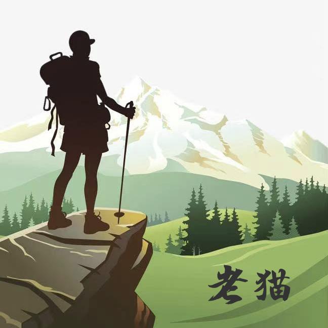 老猫