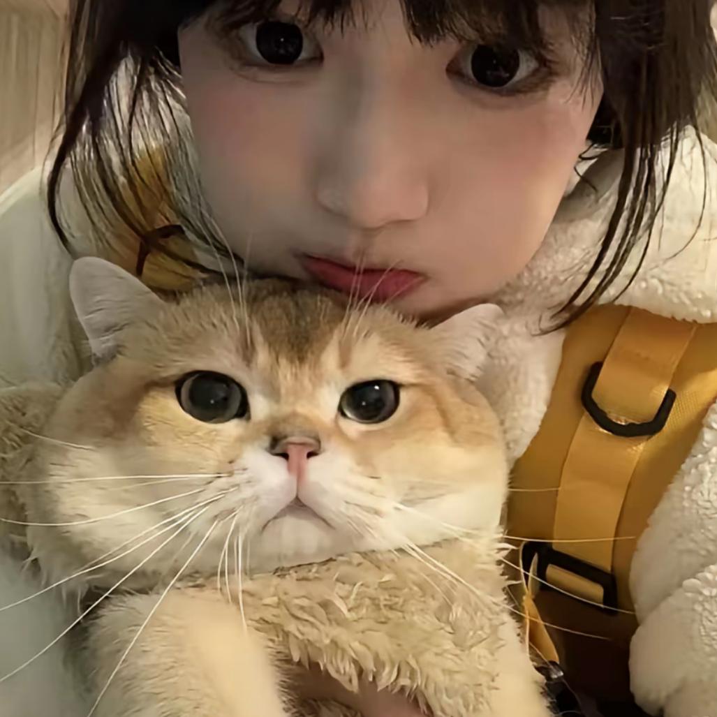 yy～