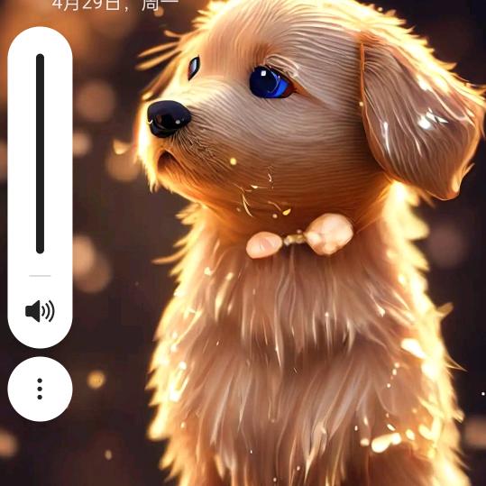 寻找另一半过完后半生