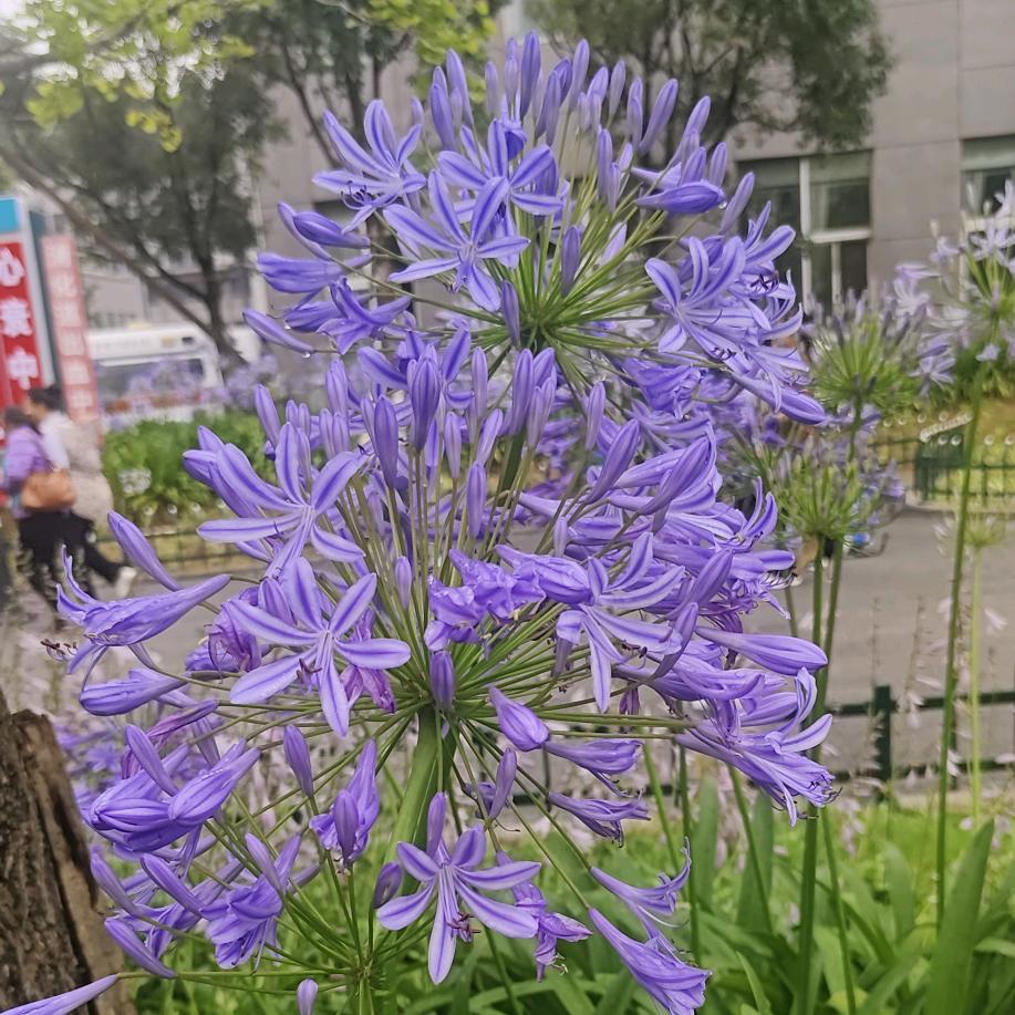 单身票票生活号