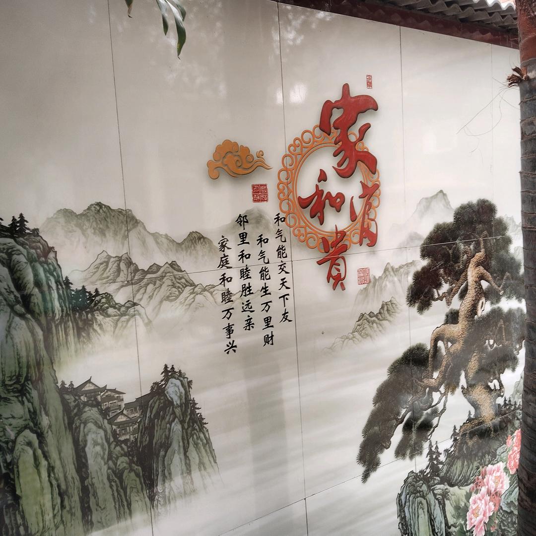 习惯有你
