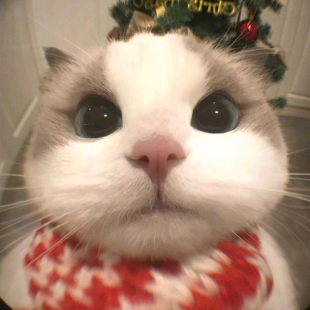 现在回头她不在了