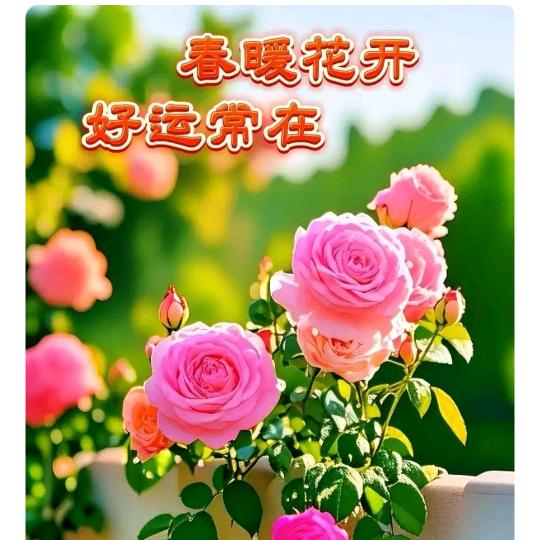 从头开始