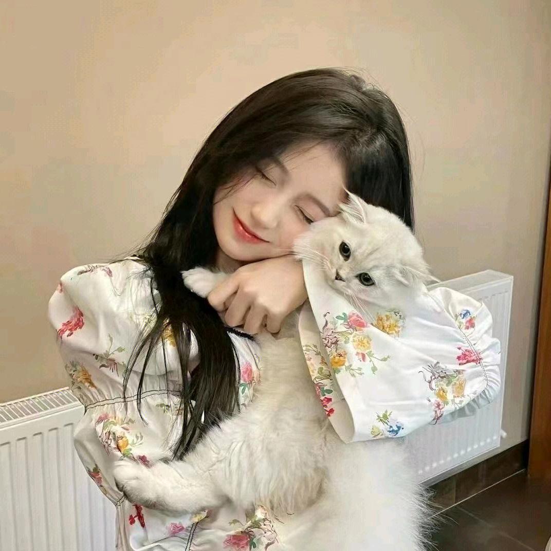 鸿旺人力  湛江人在  东莞市 石碣