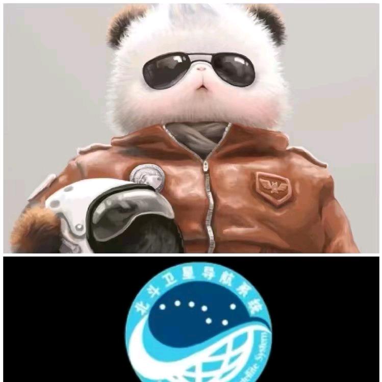 北斗服务