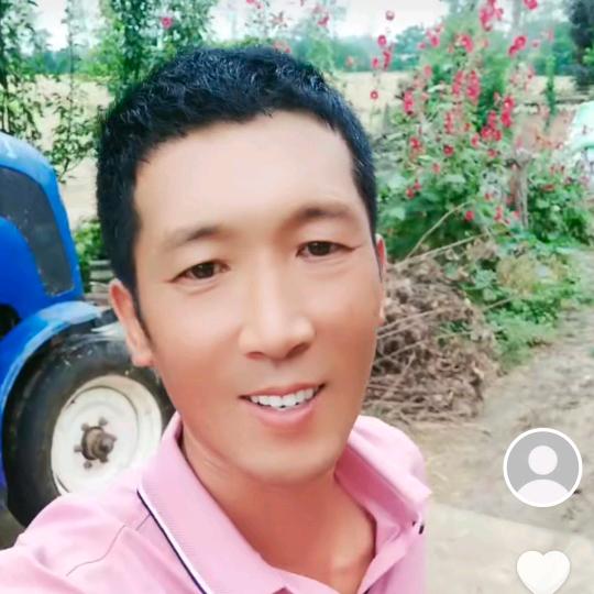 正阳老潘农机跨区服务团队