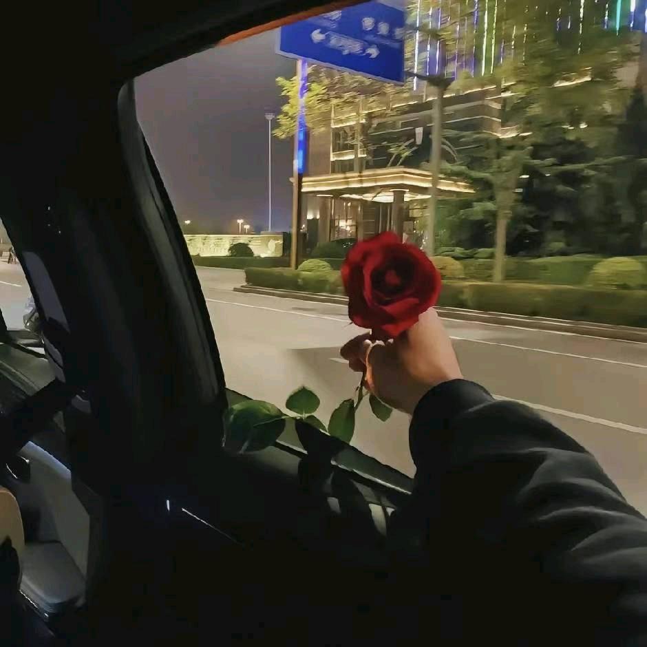 我的意中人是个疯子