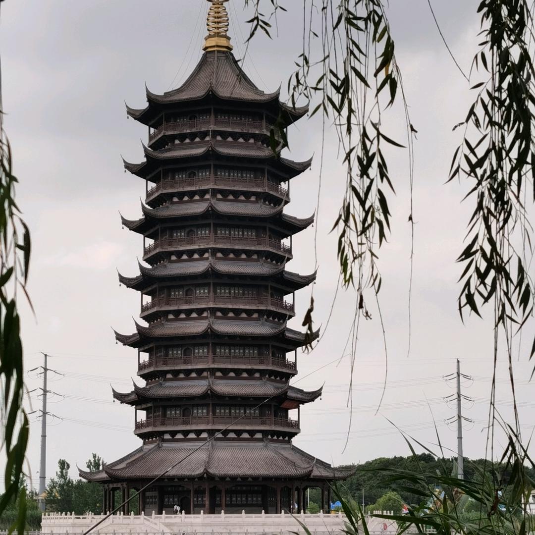 蒲苇传媒