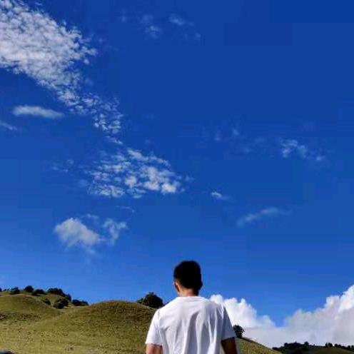 叶榆知秋