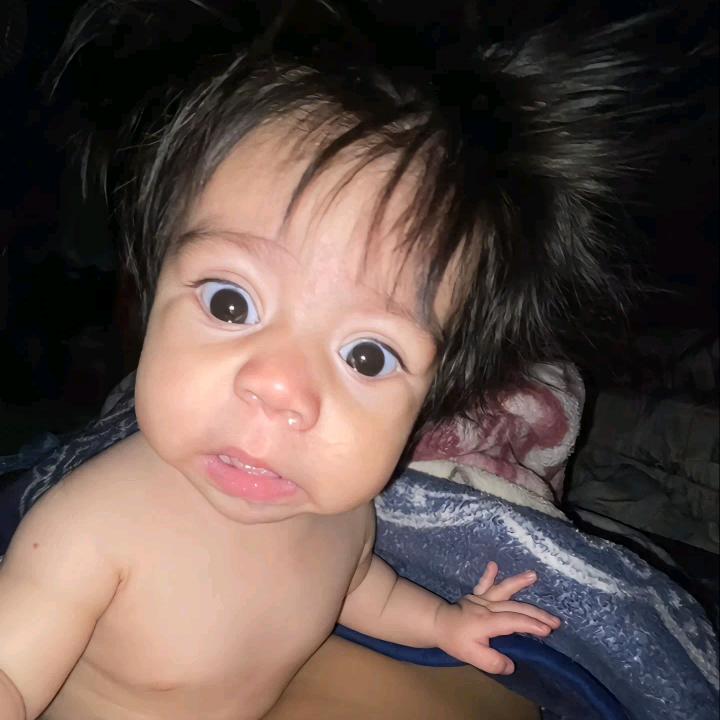 Lee