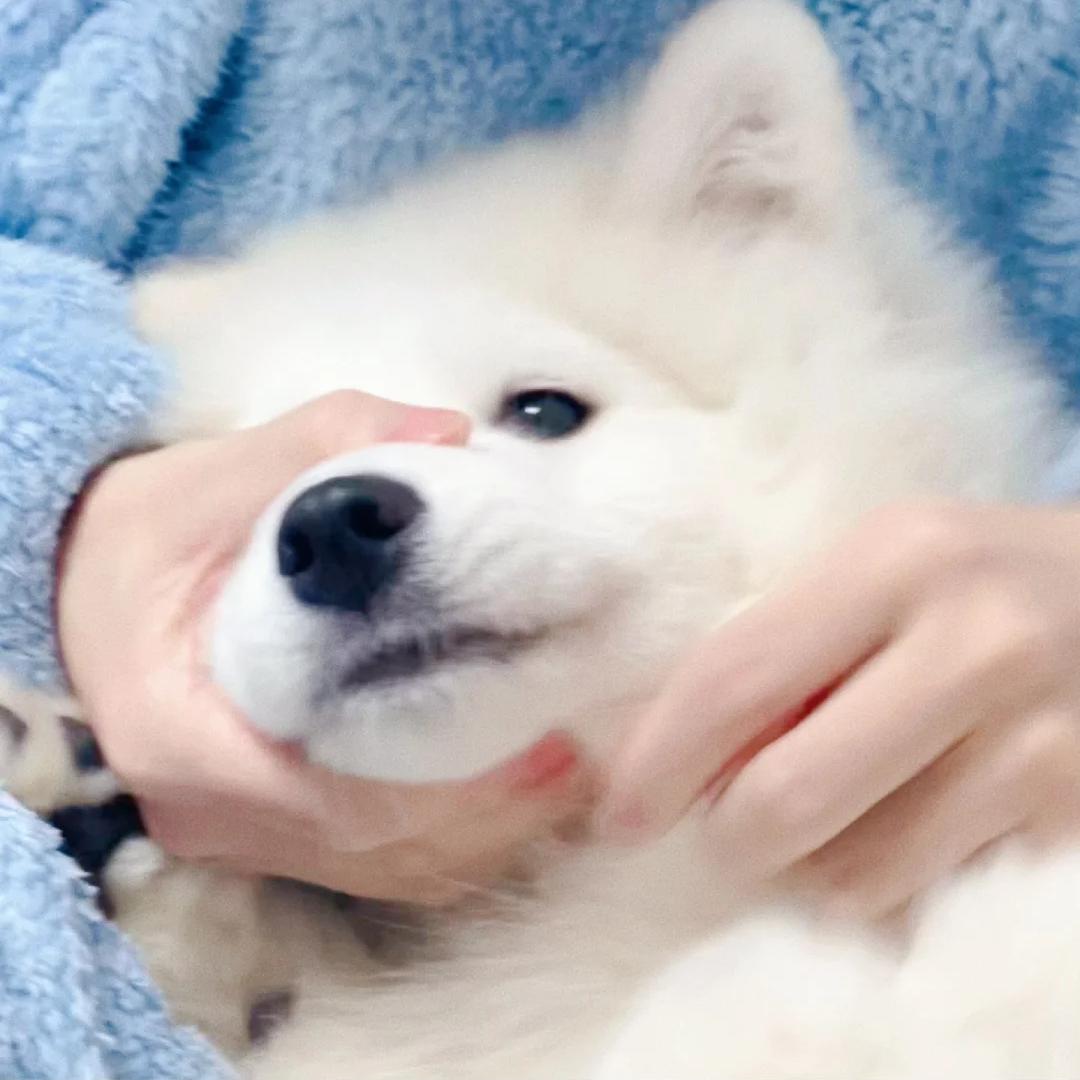 挽玥🍡