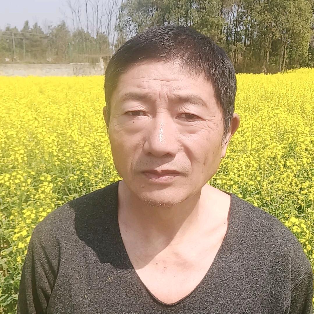 五毛芯店18点30分直播