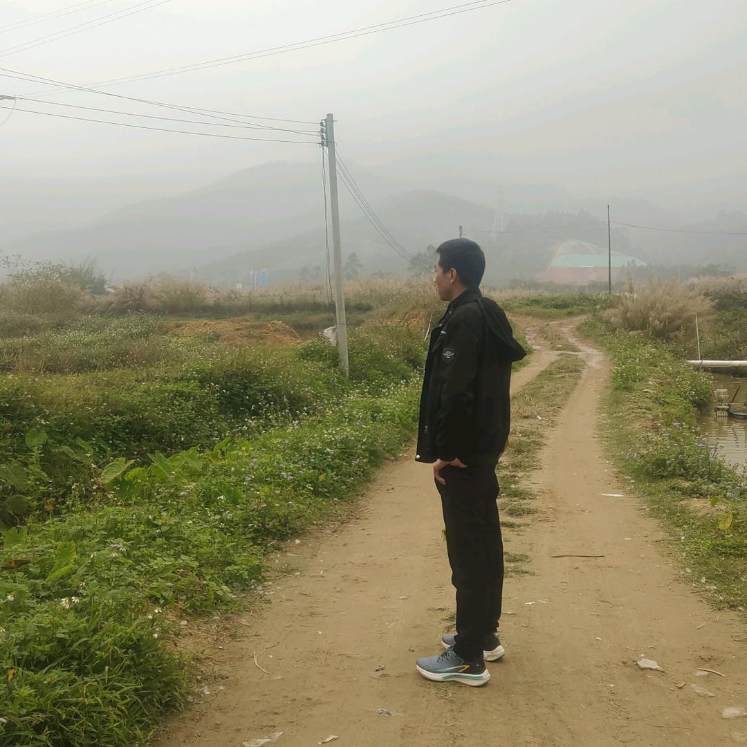 韦华