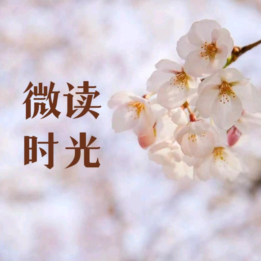 微读时光