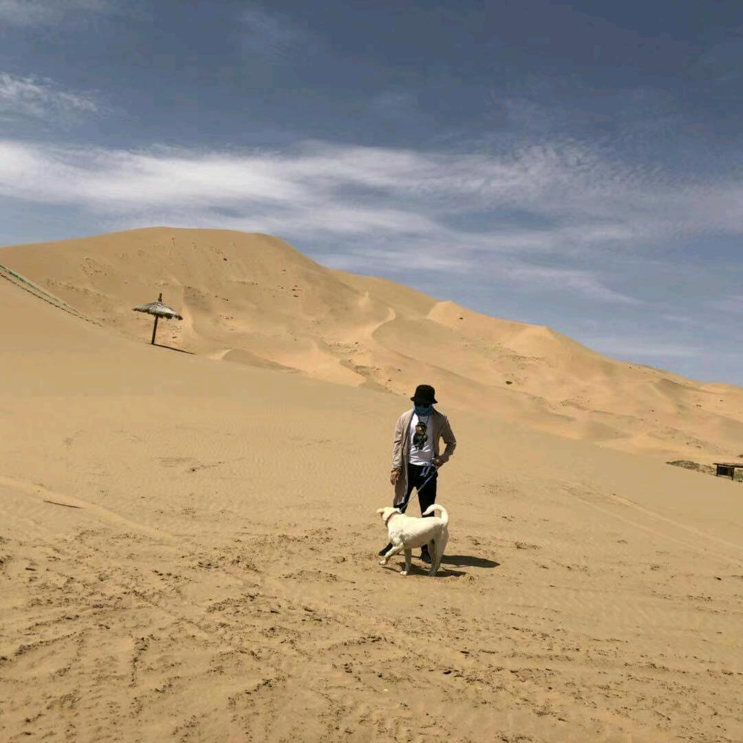 云边有个小卖部ALIVE