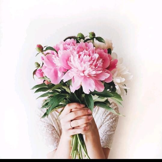 ♛╰蛮泡泡（居家花艺）泗阳同城