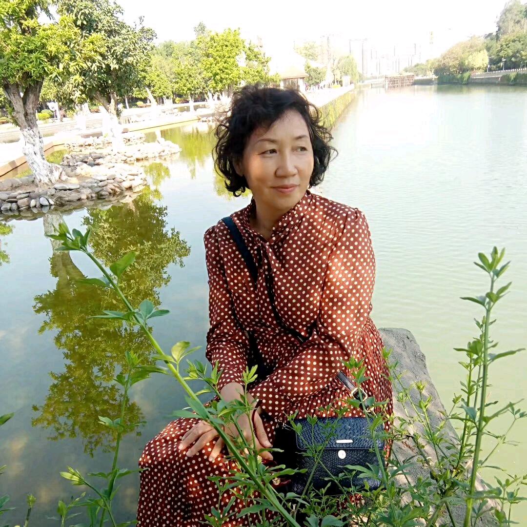 沁月