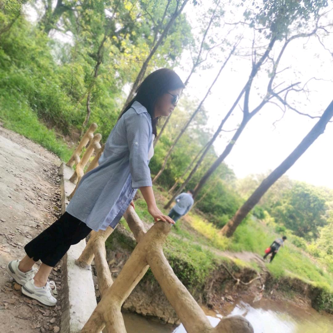 给你阳光