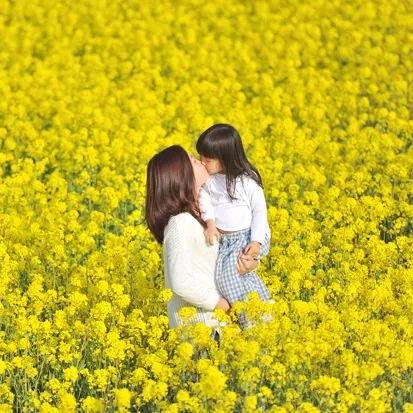 晓芳
