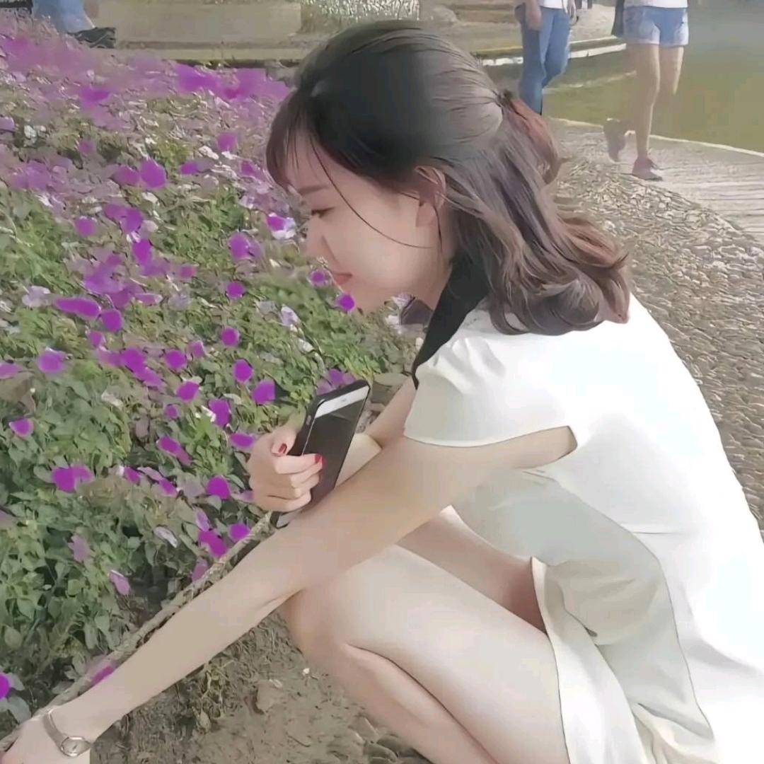 莲姐