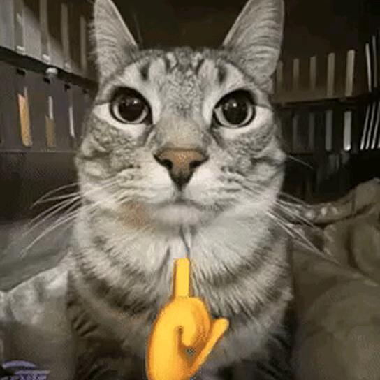猫爱吃压力