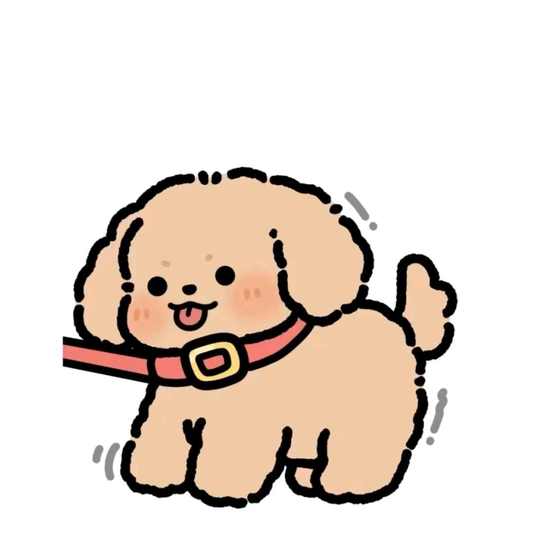 玄宸羽