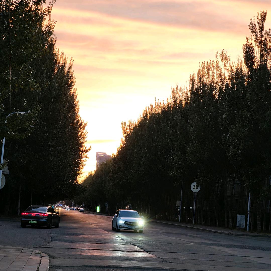 这个老头有点忙