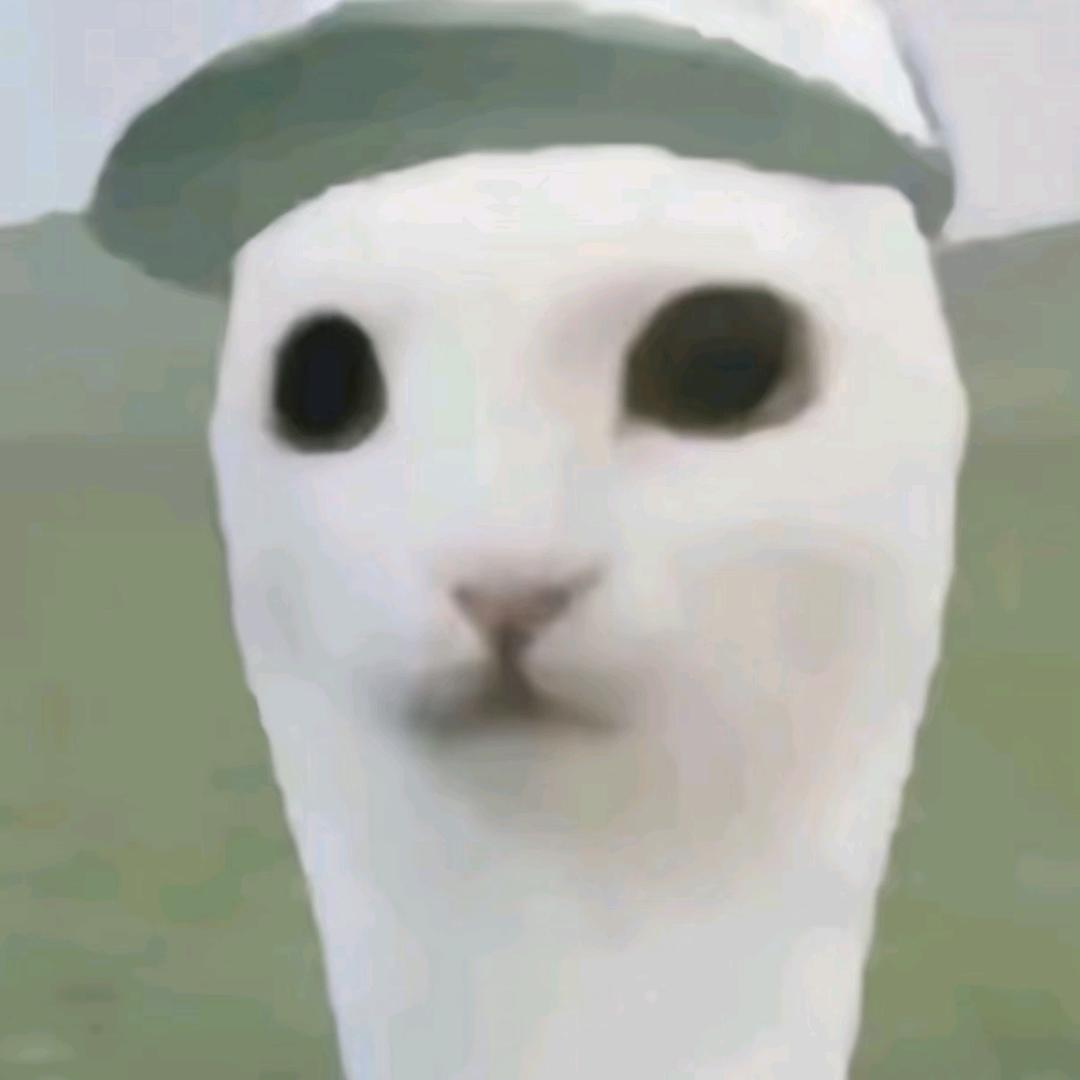 三金💰