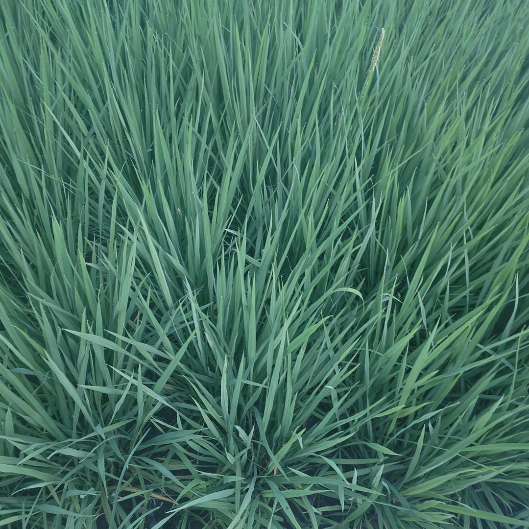 风雨兼程一路有你