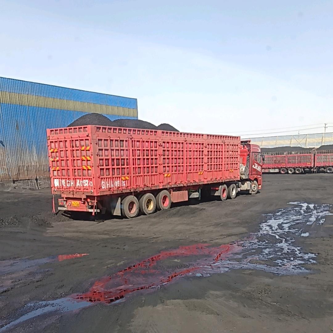 青藏线最年轻的仔