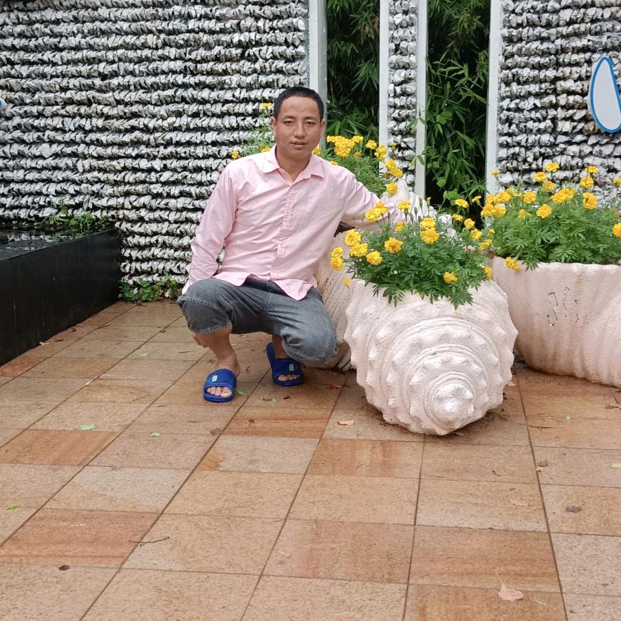 羽翼