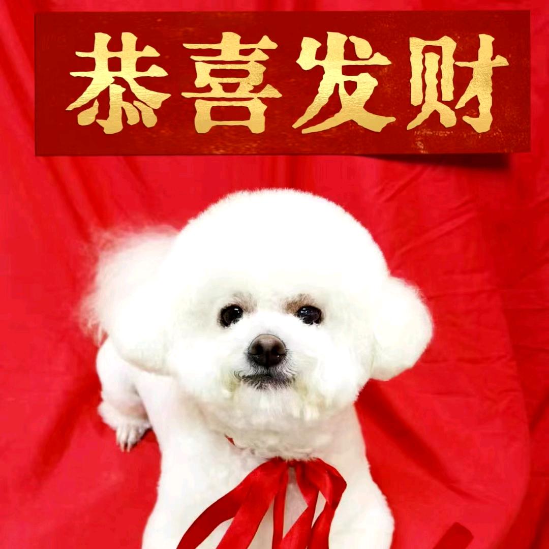 誓言从风中飘散