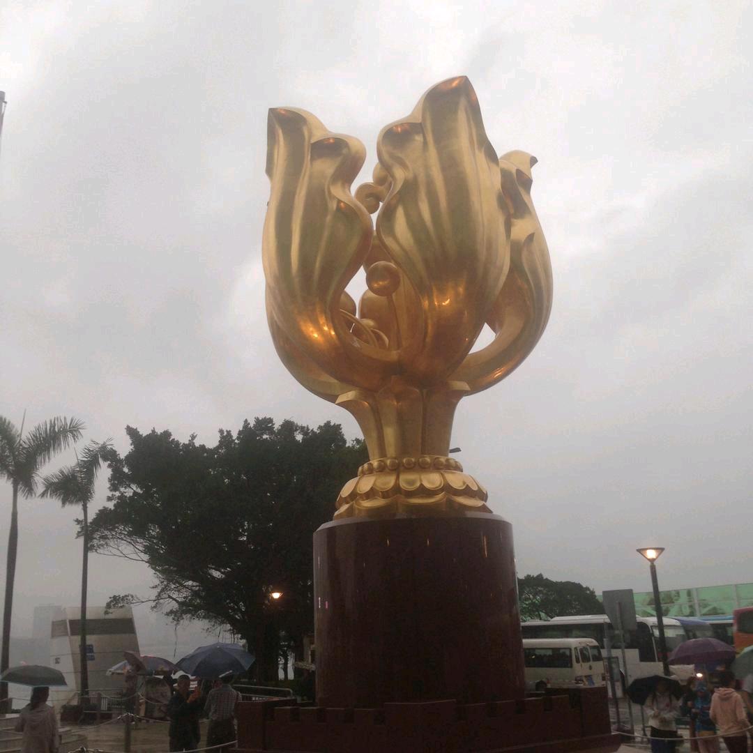 伍伍