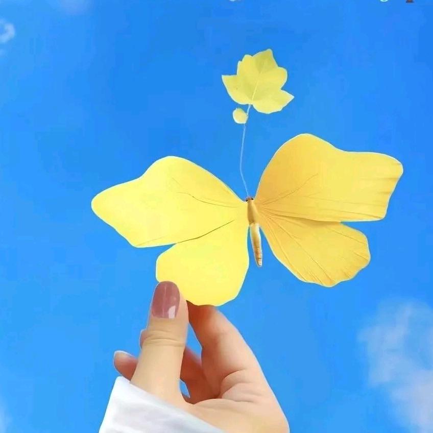 心💖静如水