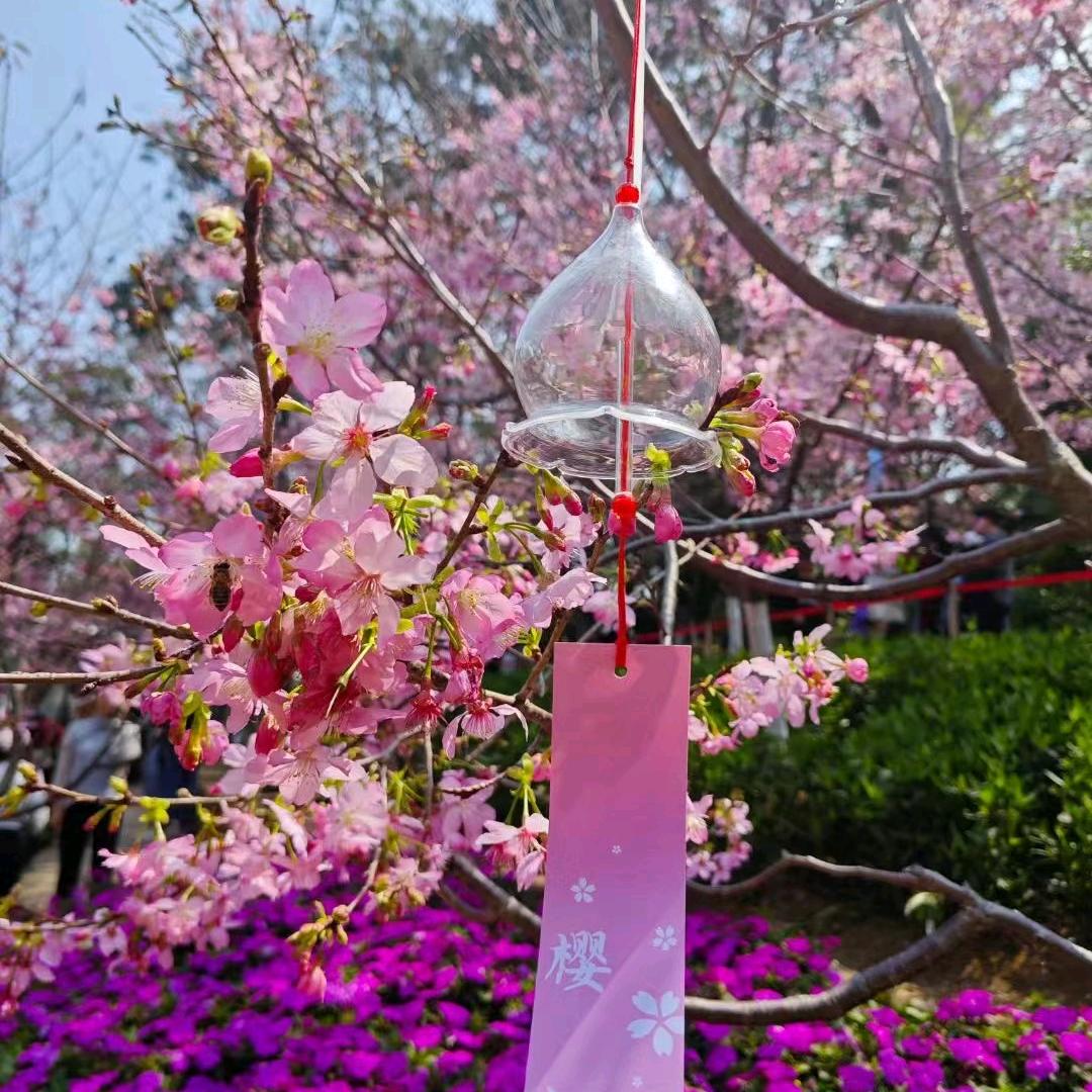 💝᭄余生ᝰᩚ随心ꦿ💝