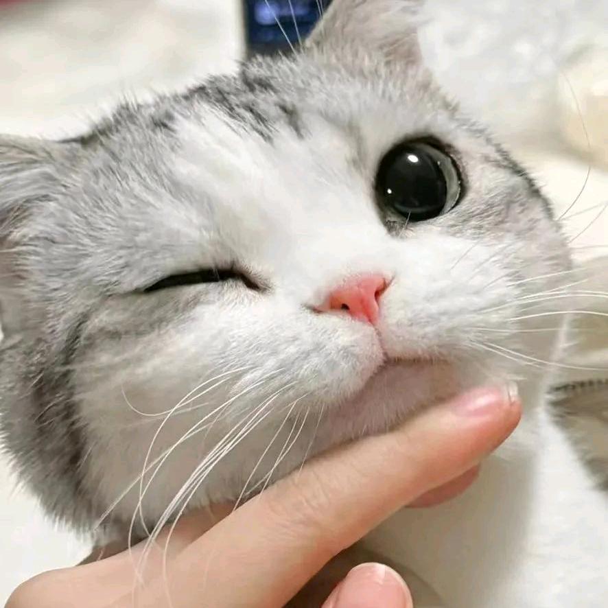 执伞者