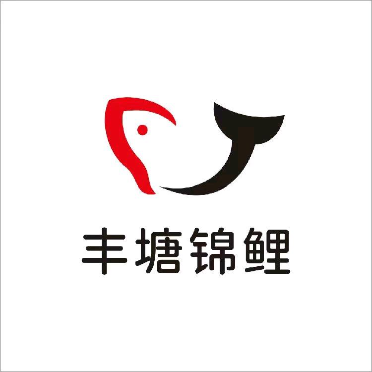 山东老于锦鲤